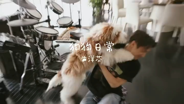 謝霆鋒曾拍片分享與愛犬的日常。