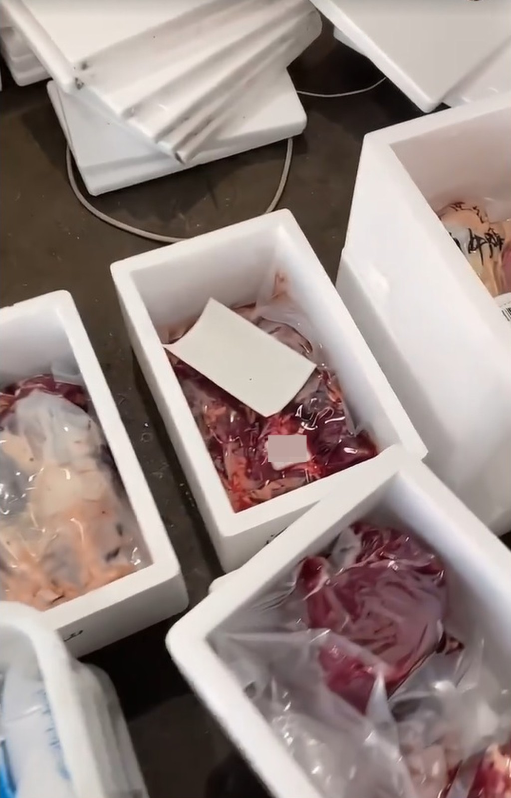 有深圳商家上載新鮮牛肉抽真空放入發泡膠箱的短片,指即將赴運往香港送交客人。 有深圳商家上載新鮮牛肉抽真空放入發泡膠箱的短片,指即將赴運往香港送交客人。