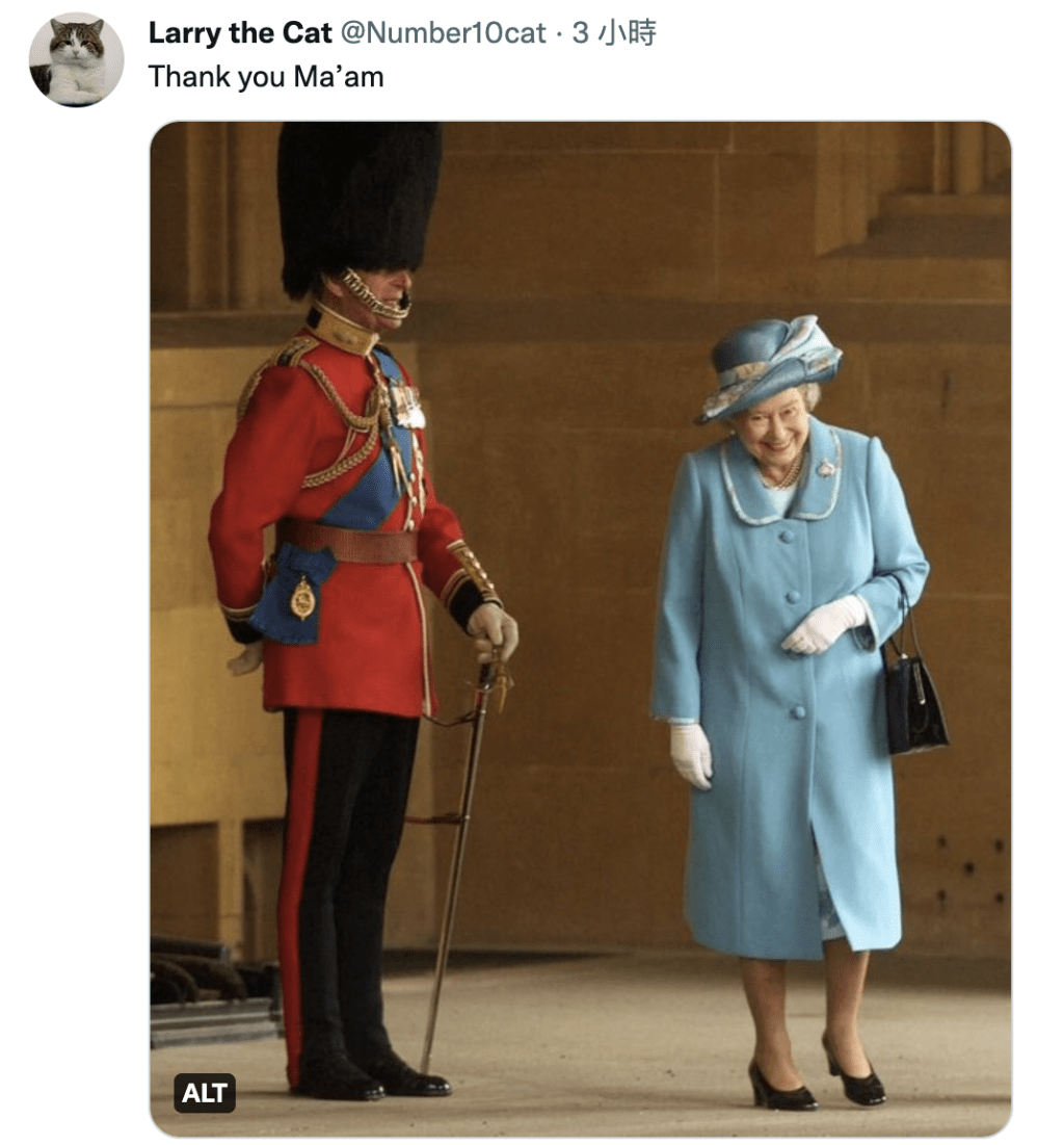 有人為Larry開設社交帳號，在英女皇離世後，帳號發文向女皇致謝。（TWITTER圖片）