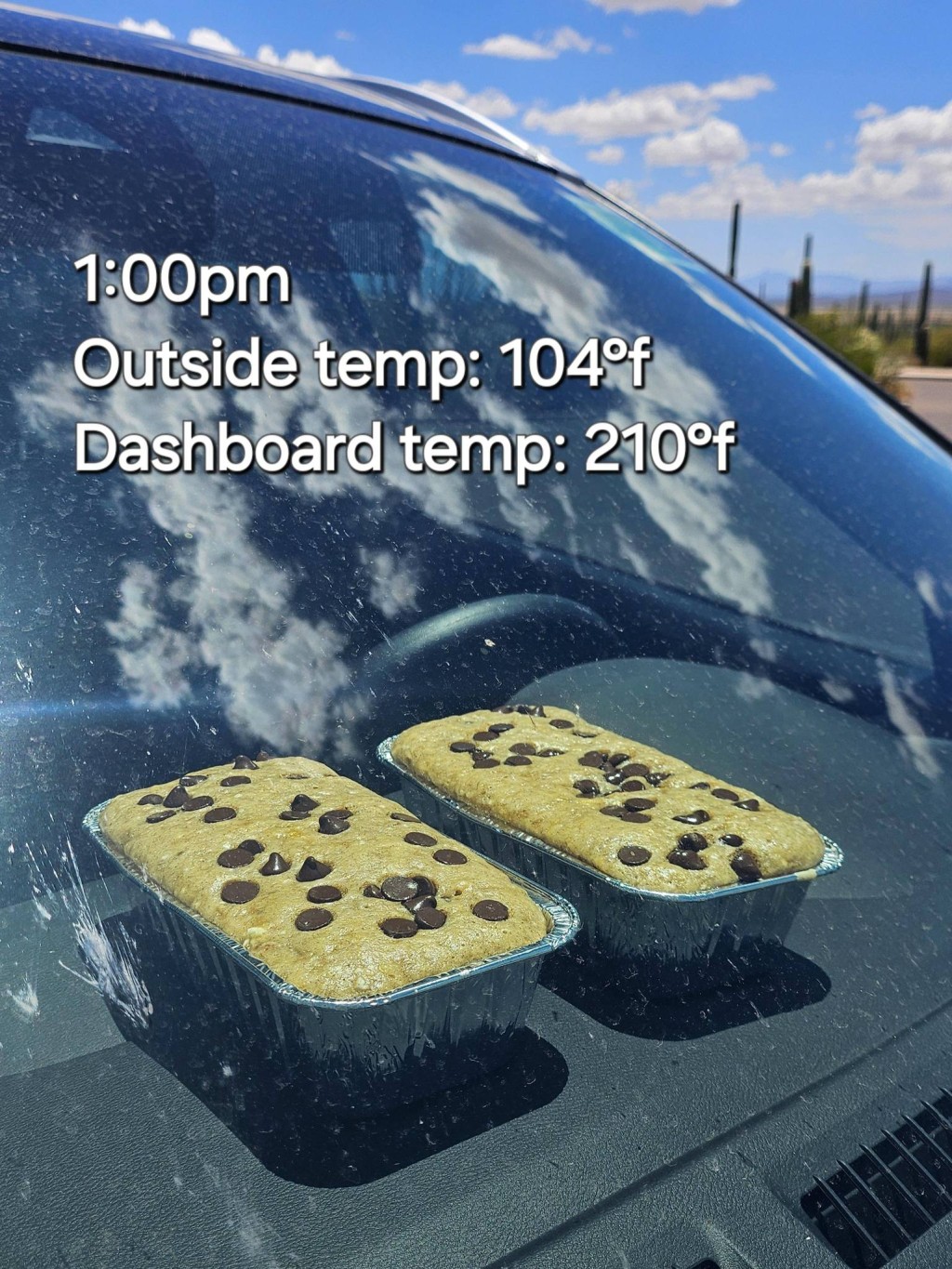 下午1點，車內溫度升至98°C。（FB@Saguaro National Park）