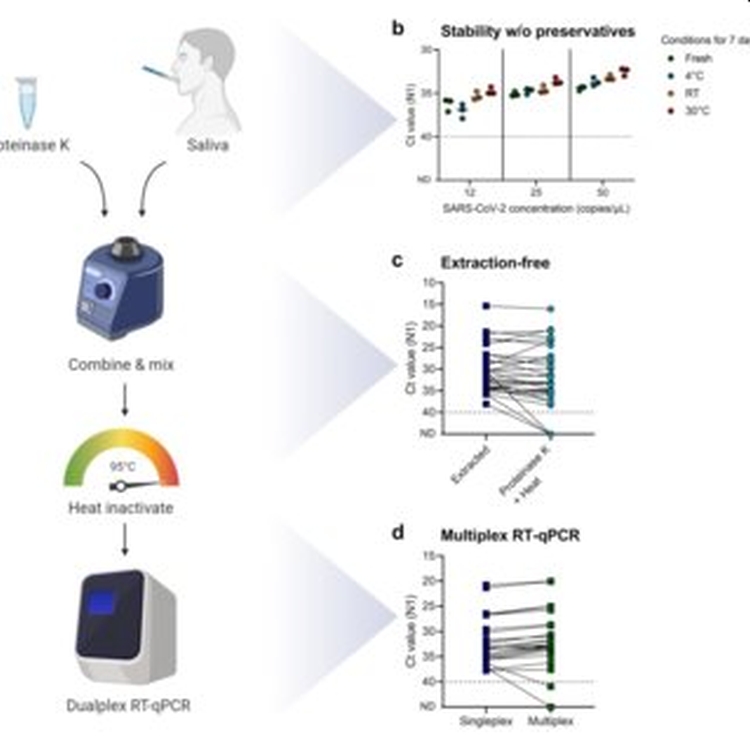 「SalivaDirect」唾液檢測法。