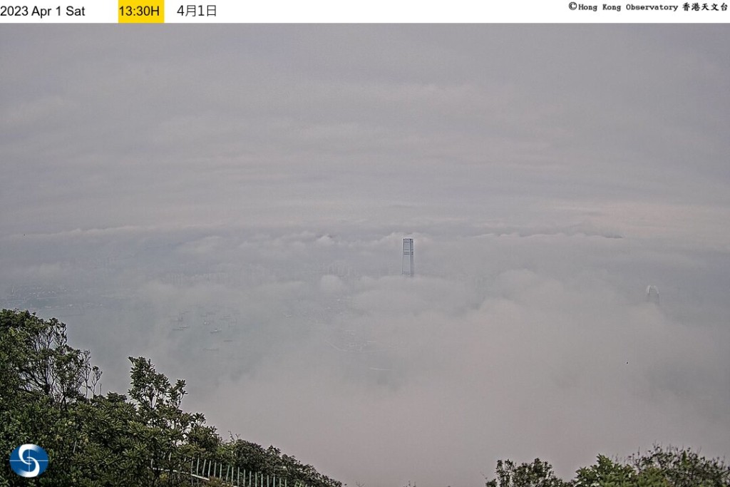 根據天文台的實時天氣照片所見，下午時分太平山頂望向維港都是白茫茫一片，大霧縈繞，高樓大廈被雲霧所湮沒。