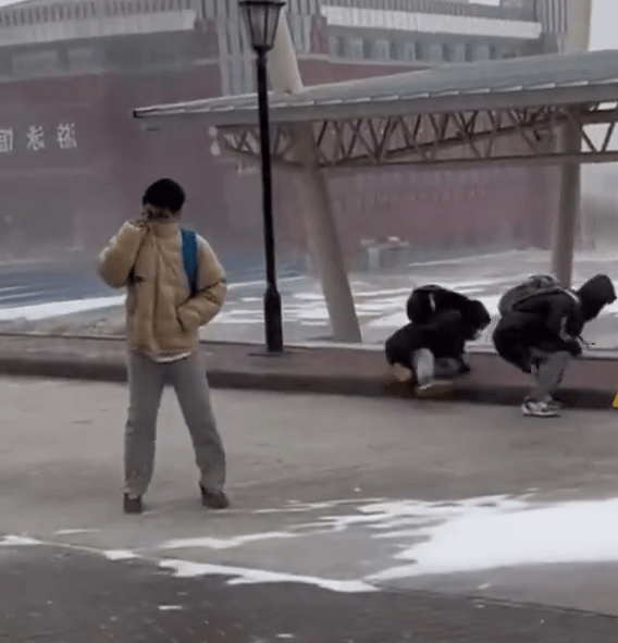 在哈尔滨，有学生在路上冒大风雪前行，有人走不了，要手拉石石壆坐下来。