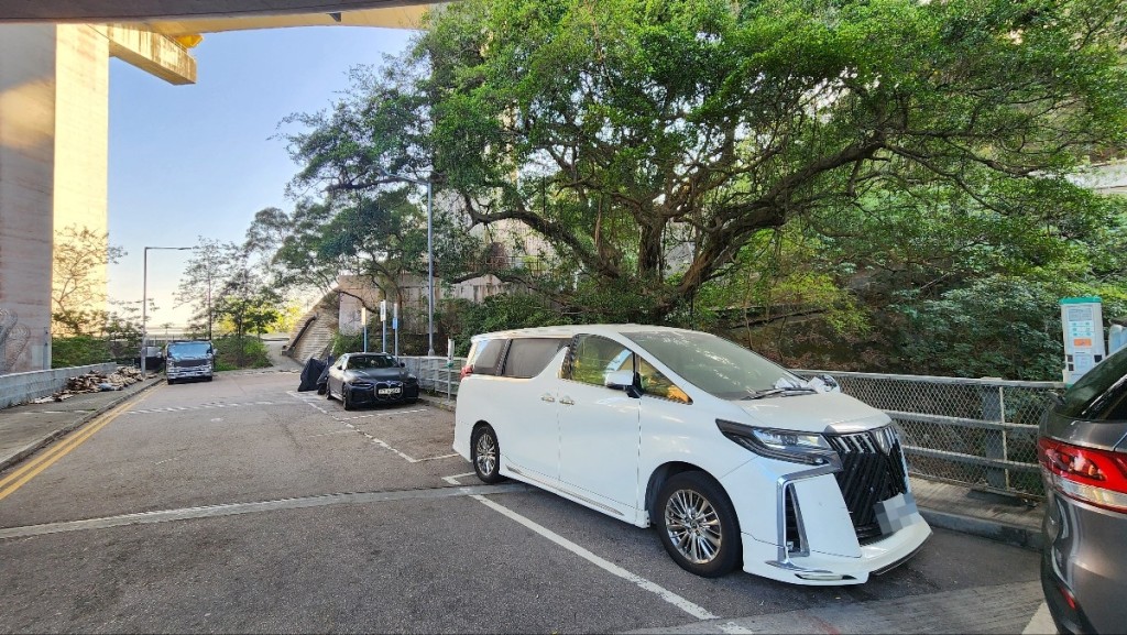 涉事白色豐田七人車停泊在汀九停車場一山邊咪錶位。黃文威攝 涉事白色豐田七人車停泊在汀九停車場一山邊咪錶位。黃文威攝