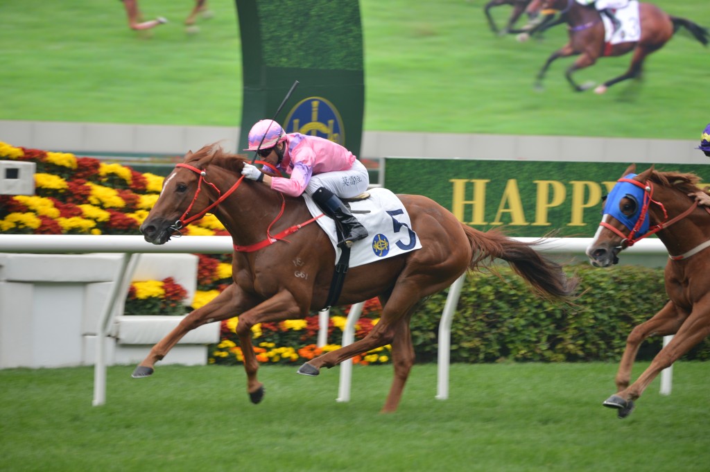 羅廄從化馬成績出眾，今次首上從化訓練的也「伊臣」不容忽視。