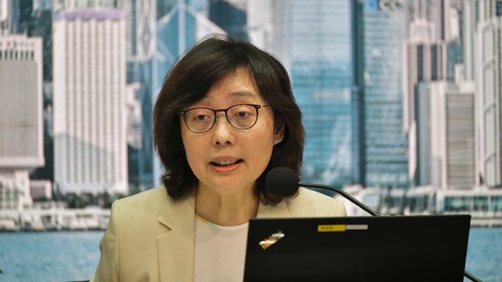 甯漢豪指輸入計畫非繞過勞顧會,只是期望簡化機制。資料圖片