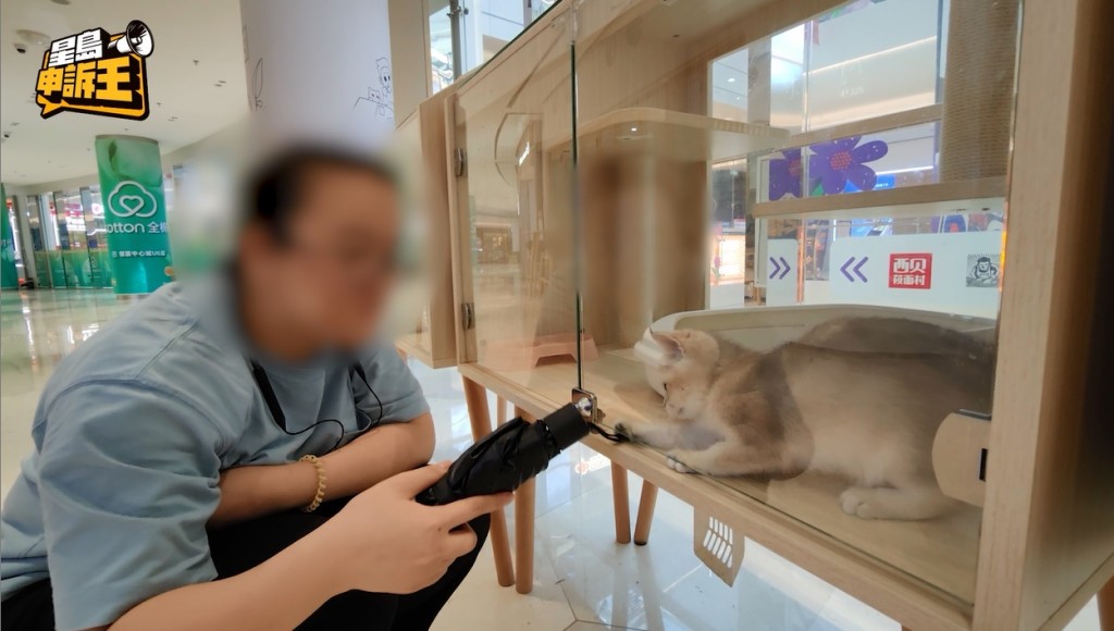 深圳寵物店稱，買家收貨後如果看到寵物不正常，可以退回。