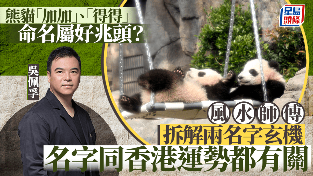 熊貓「加加」、「得得」命名屬好兆頭?風水師傅拆解兩名字玄機 同香港運勢都有關