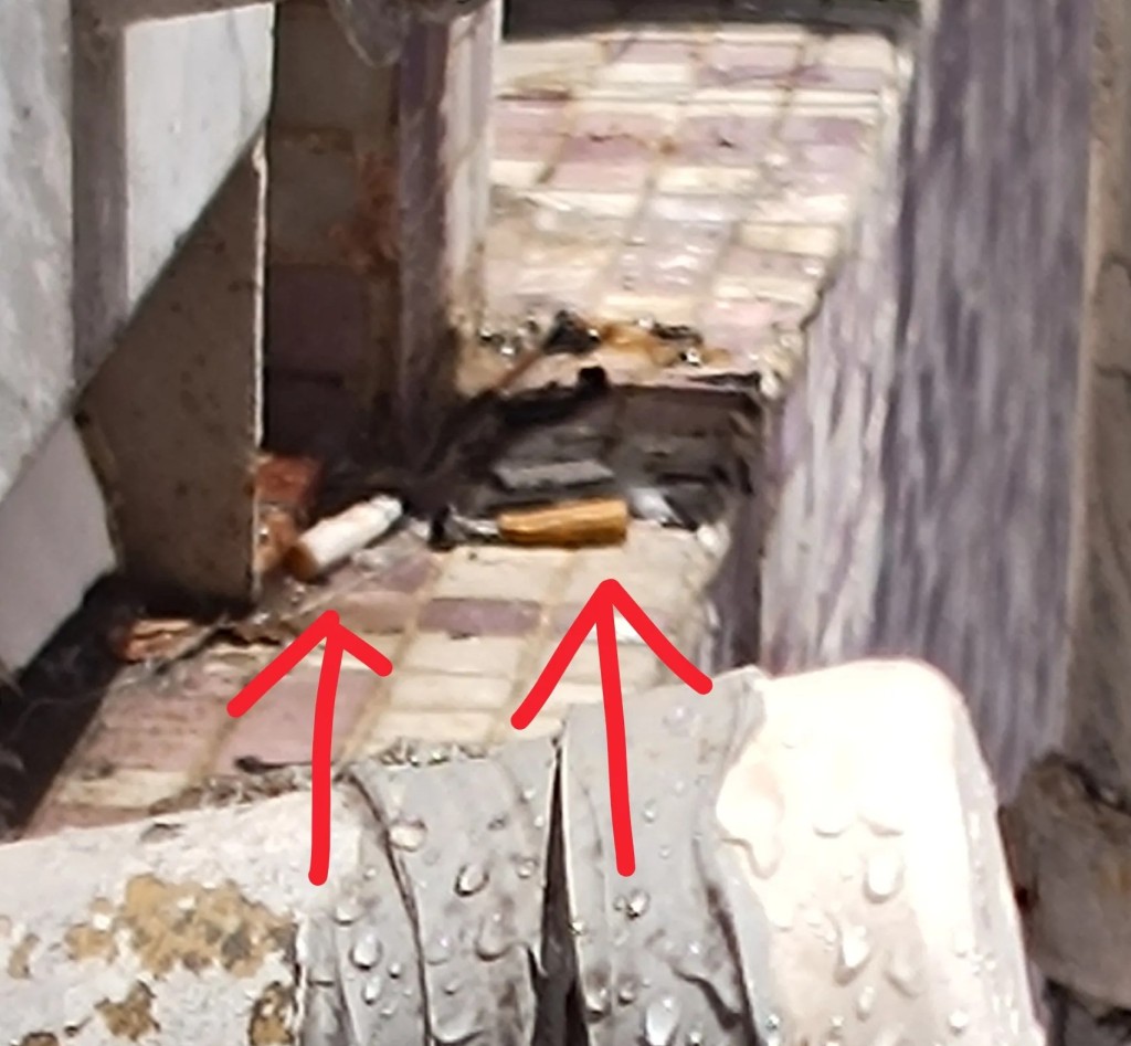 Threads截圖(資料來源:bluebell_raindrop@Threads) Threads截圖(資料來源:bluebell_raindrop@Threads)