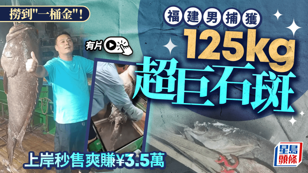 福建男捕獲巨型石斑「魚王」 重125kg上岸¥3.5萬秒售｜有片