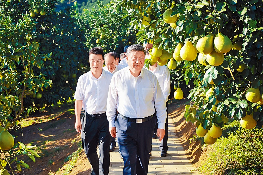 习近平近日在梅县视察。