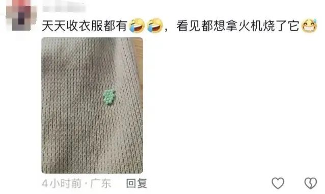 深圳市民發文稱遇上衣服黏綠色小顆粒，有網民稱用火燒了它。