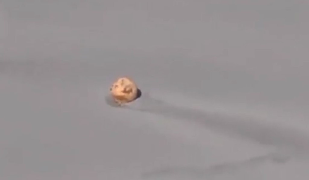 日本滨松市一处海滩上发现不明球状物体，直径约1.5米。TWITTER图