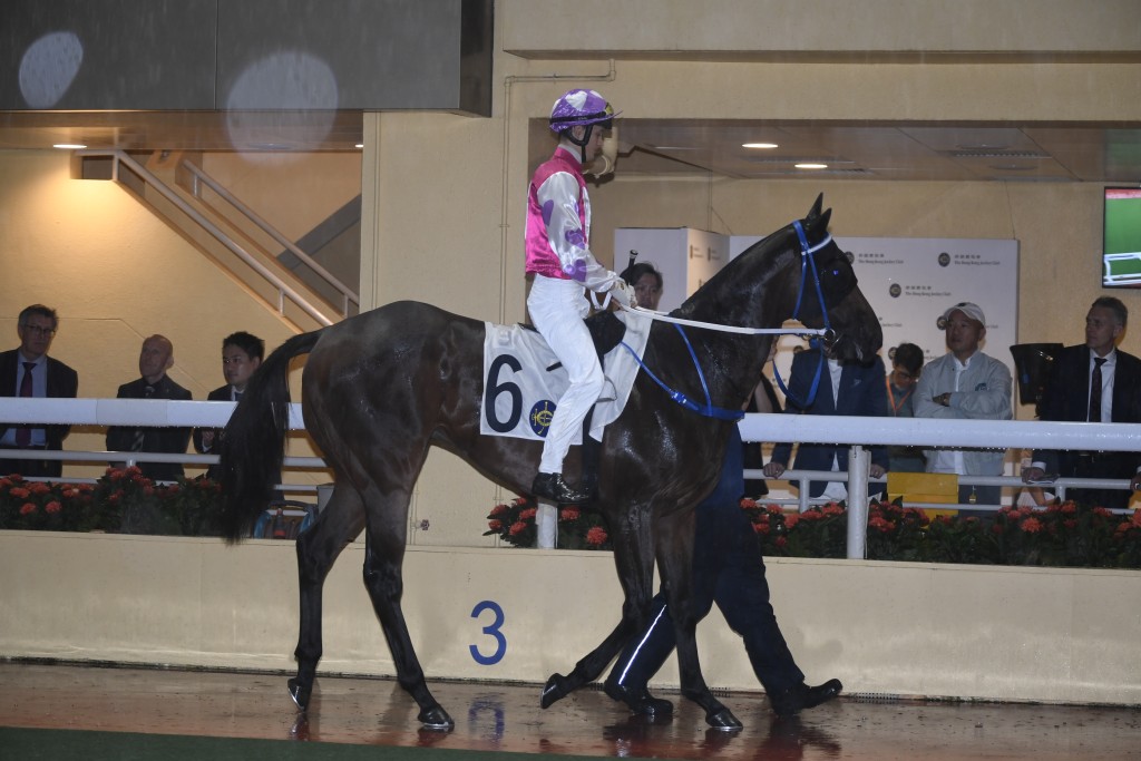 「独角兽」今仗只负一一六磅上阵形势有利，有条件争取今季第四场头马。