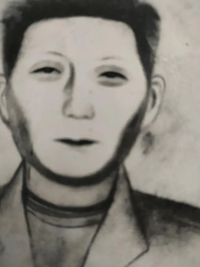 「鄂东南系列拐卖儿童案」嫌疑人的模拟画像。