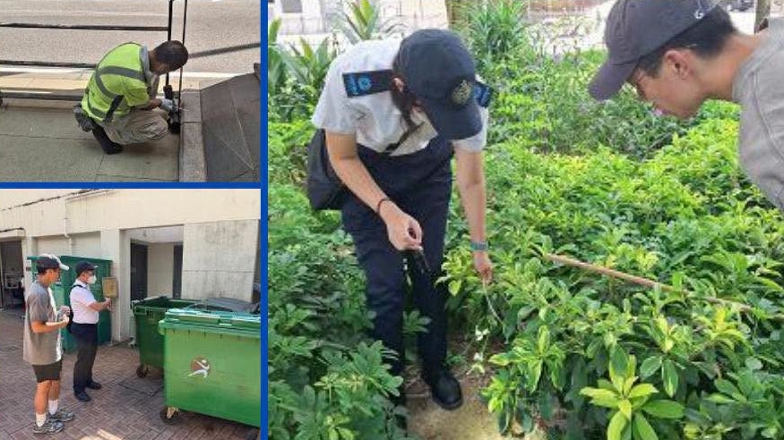 櫻桃街公園鼠患｜食環署派員實地巡查 向管理人員提供意見