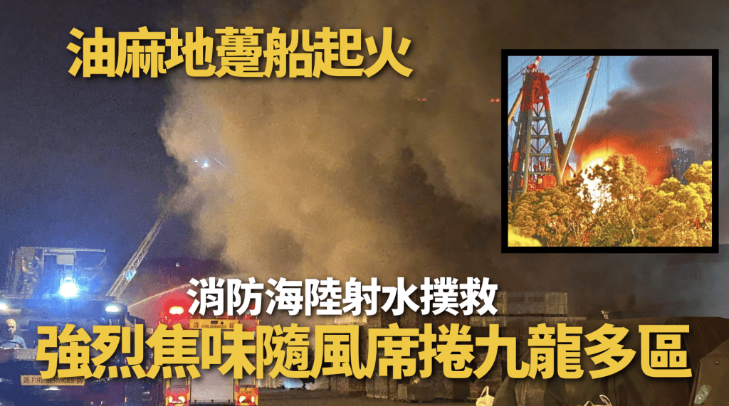 蔡楚輝攝