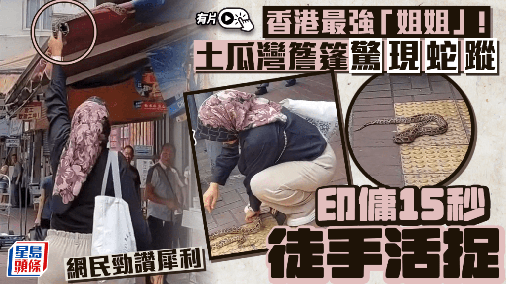 有片｜土瓜灣簷篷驚現蛇蹤 淡定印傭15秒徒手活捉 網民狂讚：勁過99.9%香港人