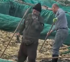 影片顯示工人在酸菜池內隨意吐痰及吸煙。