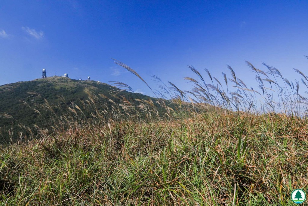 登山路線適合有一定體力的遊客，沿途可欣賞城市天際線與山巒疊翠。日落時分，芒草在夕陽下閃耀金光，是攝影愛好者的天堂。