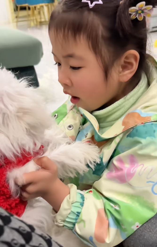 可可成功爭取養寵物狗。抖音