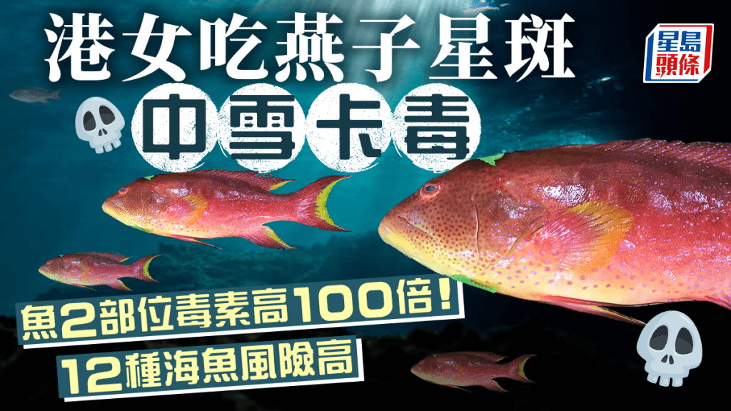 雪卡毒｜港女吃燕子星斑中雪卡毒 吃魚2部位毒素高100倍 小心12種海魚