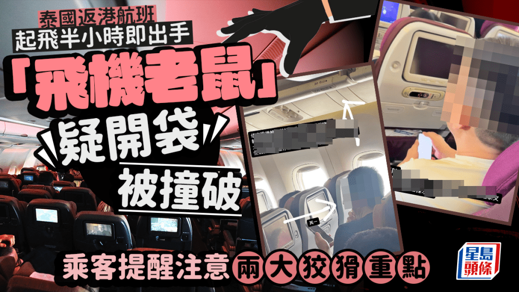 泰國返港航班起飛半小時即出手 「飛機老鼠」疑開袋被撞破 乘客提醒注意兩大狡猾重點