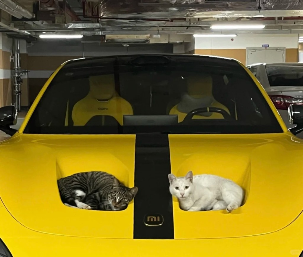 小米SU7 Ultra車頭冚的雙凹位變完美貓窩。小紅書