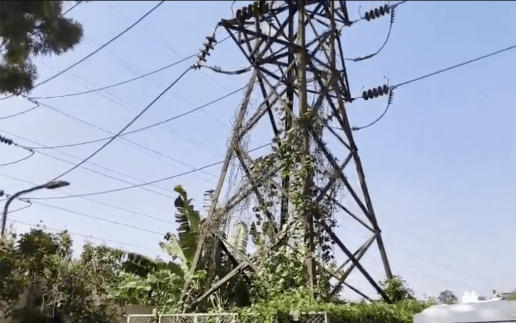 電線桿相當高,心急如焚的庫馬爾隨即手持一根長鋼管,爬上家中的圍牆,試圖引導鸚鵡回巢,結果不慎觸電身亡。X@prajwaldza 電線桿相當高,心急如焚的庫馬爾隨即手持一根長鋼管,爬上家中的圍牆,試圖引導鸚鵡回巢,結果不慎觸電身亡。X@prajwaldza