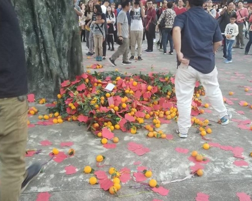 網民Matthew Wu圖片