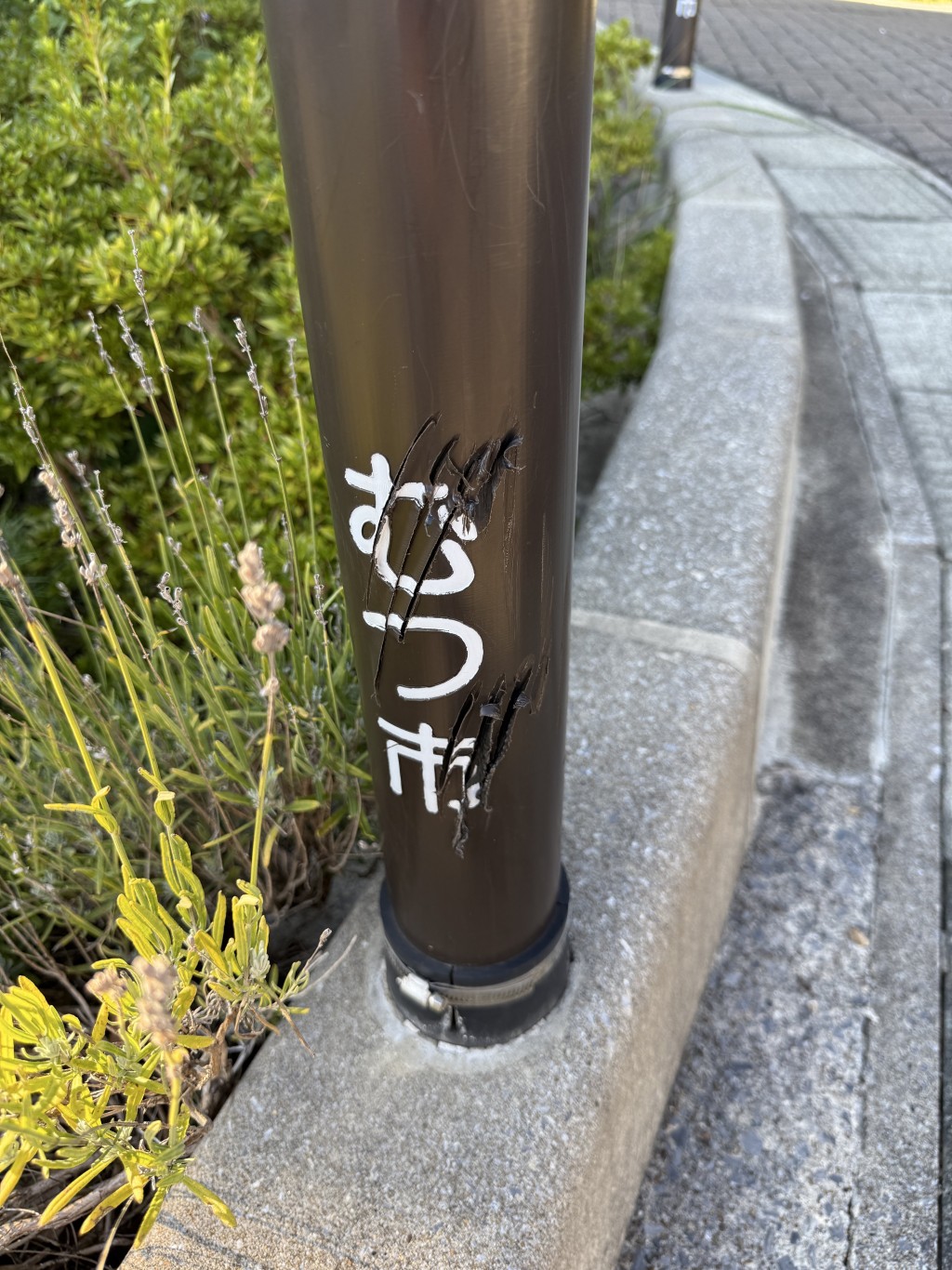 有民众在青森县拍下柱子被熊爪划出的长痕。X @akarisan1212 有民众在青森县拍下柱子被熊爪划出的长痕。X @akarisan1212