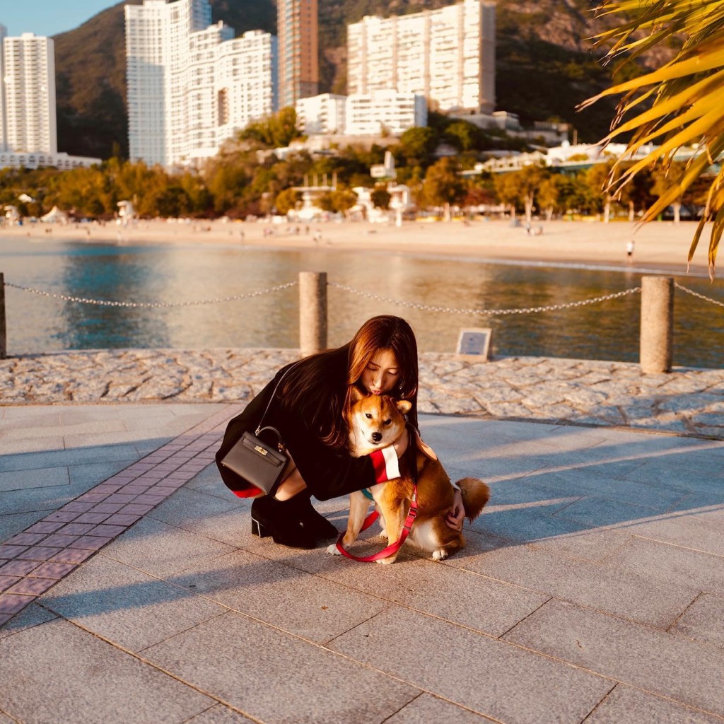 Sarah Miu与何广沛共同养狗狗。