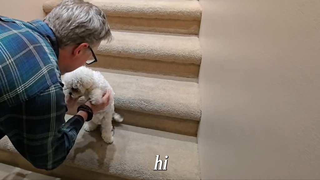 一隻可愛的白色小狗在樓梯間熱情迎接訪客。