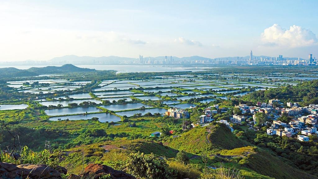 長江實業申請在后海灣濕地魚塘「豐樂圍」發展住宅項目，早年已獲城規會批准。