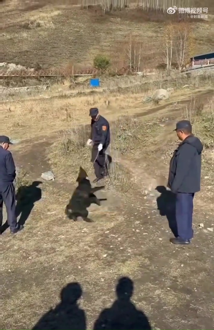 景区保安以火腿肠诱骗，以细绳套紧小狗脖颈。