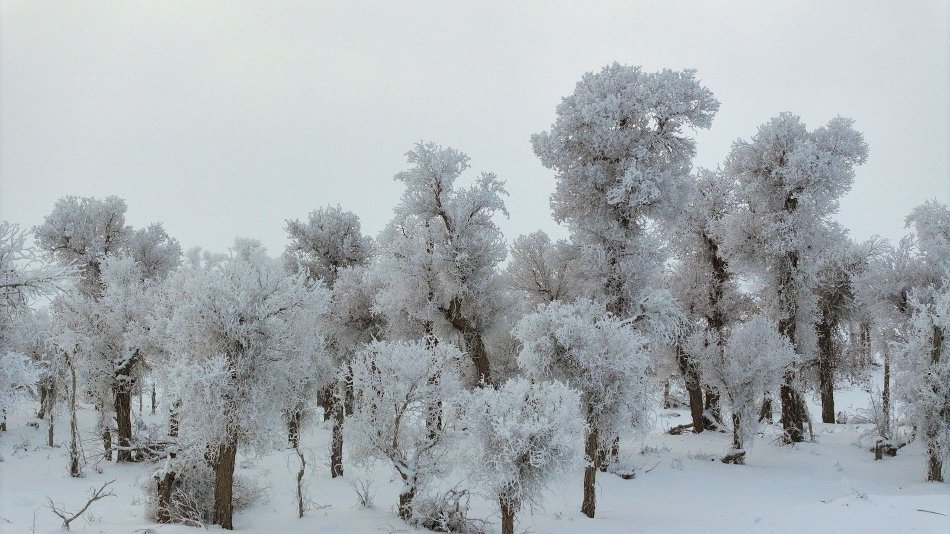 新疆塔克拉瑪干沙漠現「雪海」奇景。（微博）