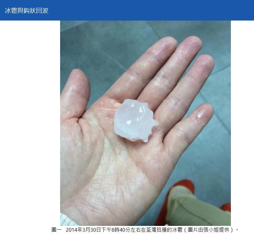 圖一   2014年3月30日下午8時40分左右在荃灣拾獲的冰雹（圖片由張小姐提供）。天文台網頁截圖