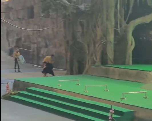 杭州有動物園的黑熊表演途中發狂，攻擊飼養員。微博