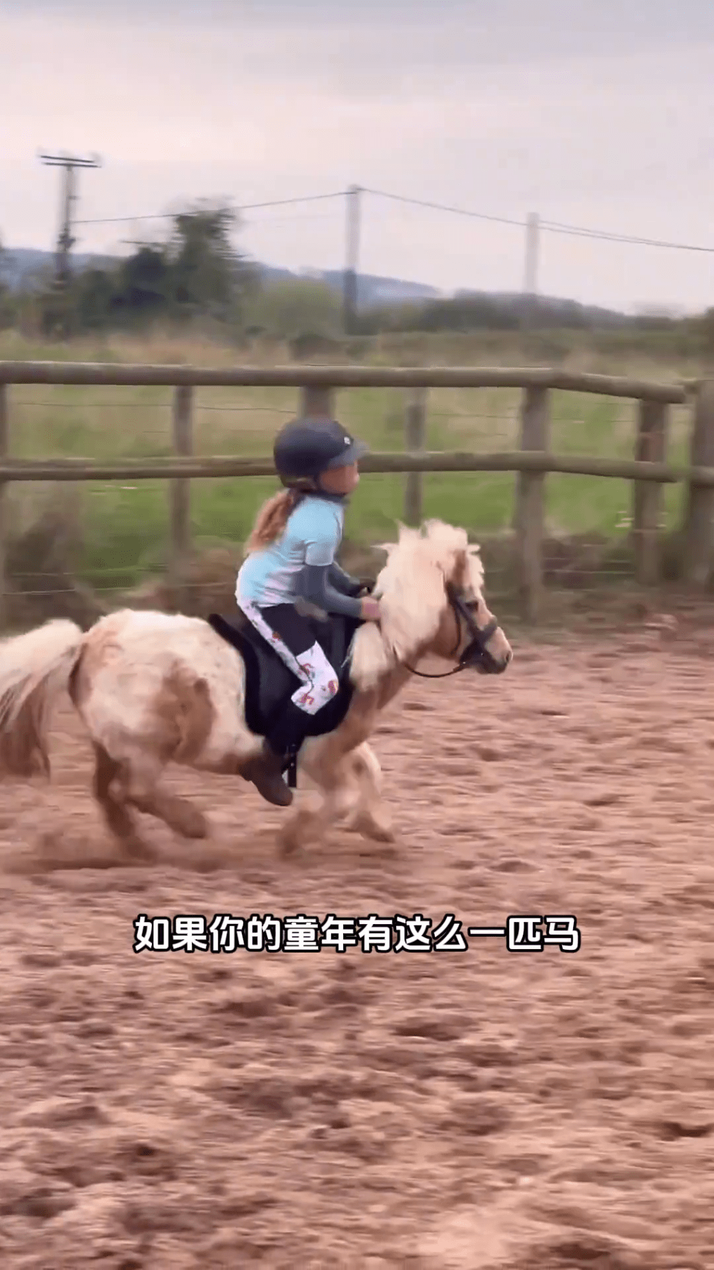 迷你馬在內地社交平台上爆紅。 迷你馬在內地社交平台上爆紅。