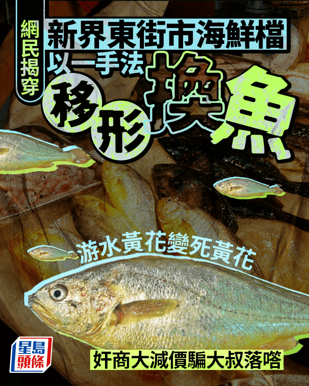 新界東海鮮檔卑劣手法移形換魚 網民揭穿游水黃花變死黃花 奸商大減價騙大叔落㗳｜Juicy叮
