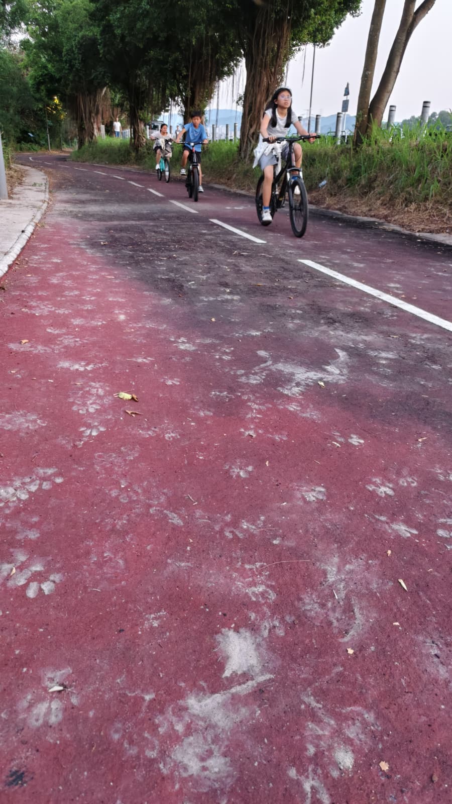 現場附單車徑滿佈狗隻爪印。 現場附單車徑滿佈狗隻爪印。