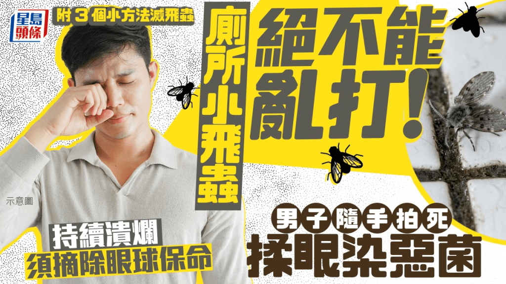 廁所小飛蟲絕不能亂打！男子隨手拍死揉眼染惡菌 持續潰爛須摘除眼球保命 附3方法滅飛蟲