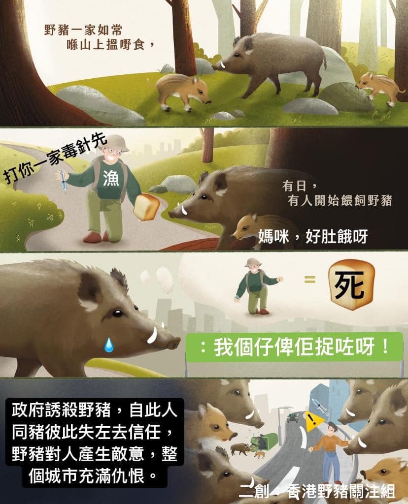 香港野豬關注組二創有關漫畫，批評當局破壞人豬互信。FB圖片