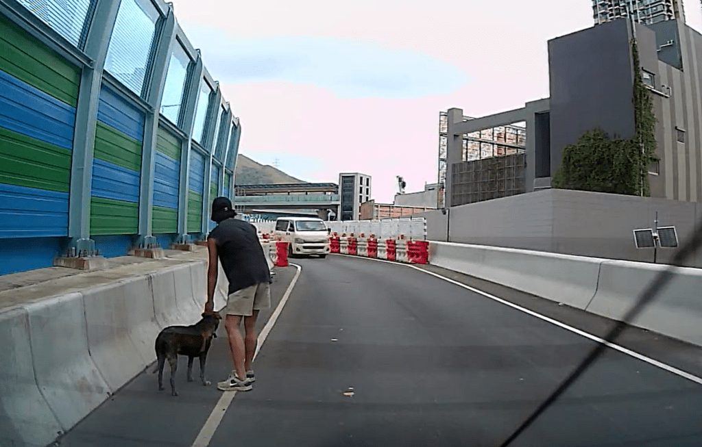不時有汽車在身邊經過。網圖