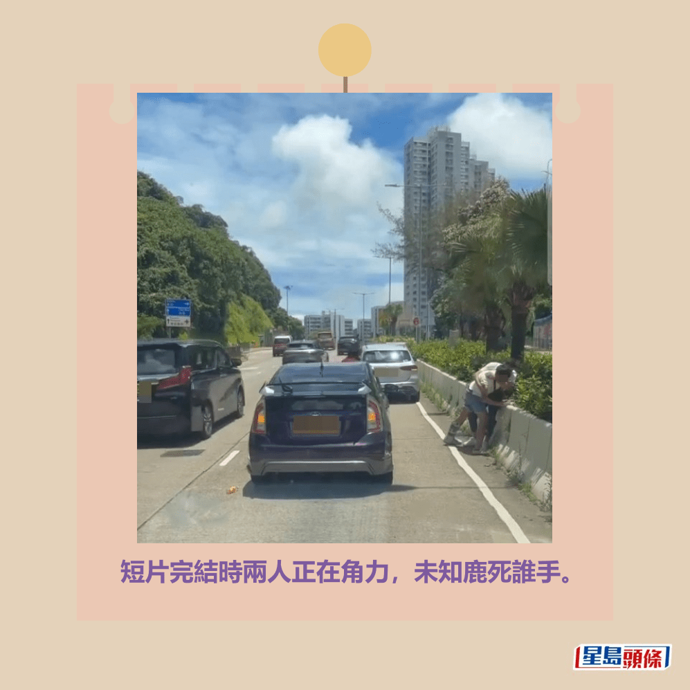 短片完結時兩人正在角力,未知鹿死誰手。fb「車CAM直擊」截圖 短片完結時兩人正在角力,未知鹿死誰手。fb「車CAM直擊」截圖