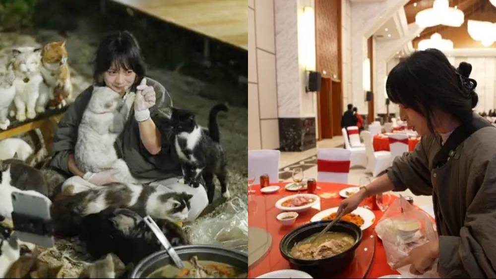 社恐女青收養126隻流浪貓，一年跑百場婚宴討剩餸。