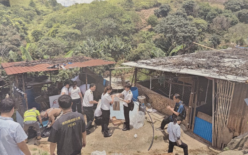 涉事屠宰場環境非常惡劣，設置簡劣。