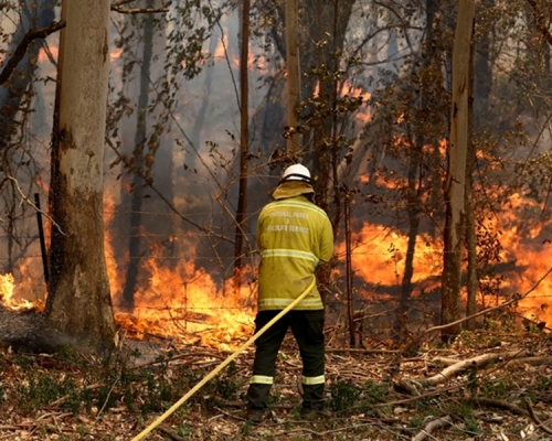 山火在风乘风势下迅速蔓延。AP