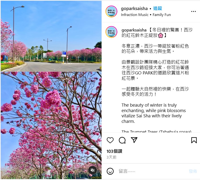 「goparksaisha」在Instagram以「冬日里的惊喜！西沙的红花铃木正绽放」发帖。「goparksaisha」Instagram截图