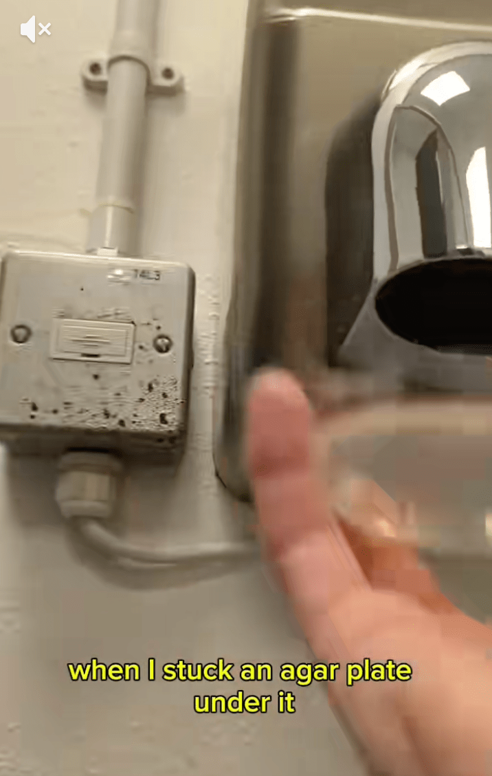 麥克拉倫將培養皿放在公廁烘手機下方收集吹出的空氣。